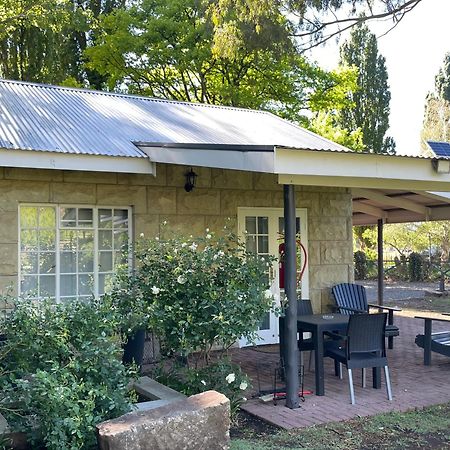 Periwinkle, Grove ,Acorn & Sage Cottages Clarens Extérieur photo