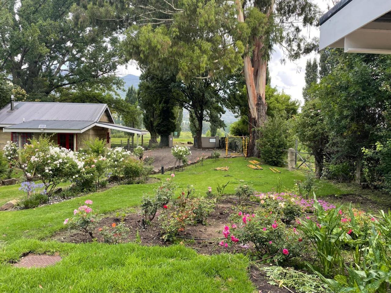 Periwinkle, Grove ,Acorn & Sage Cottages Clarens Extérieur photo
