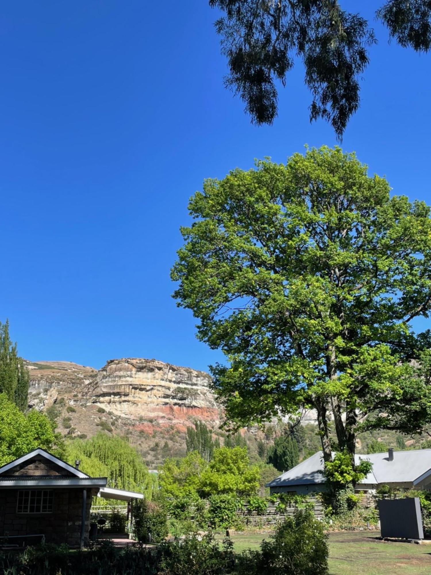 Periwinkle, Grove ,Acorn & Sage Cottages Clarens Extérieur photo