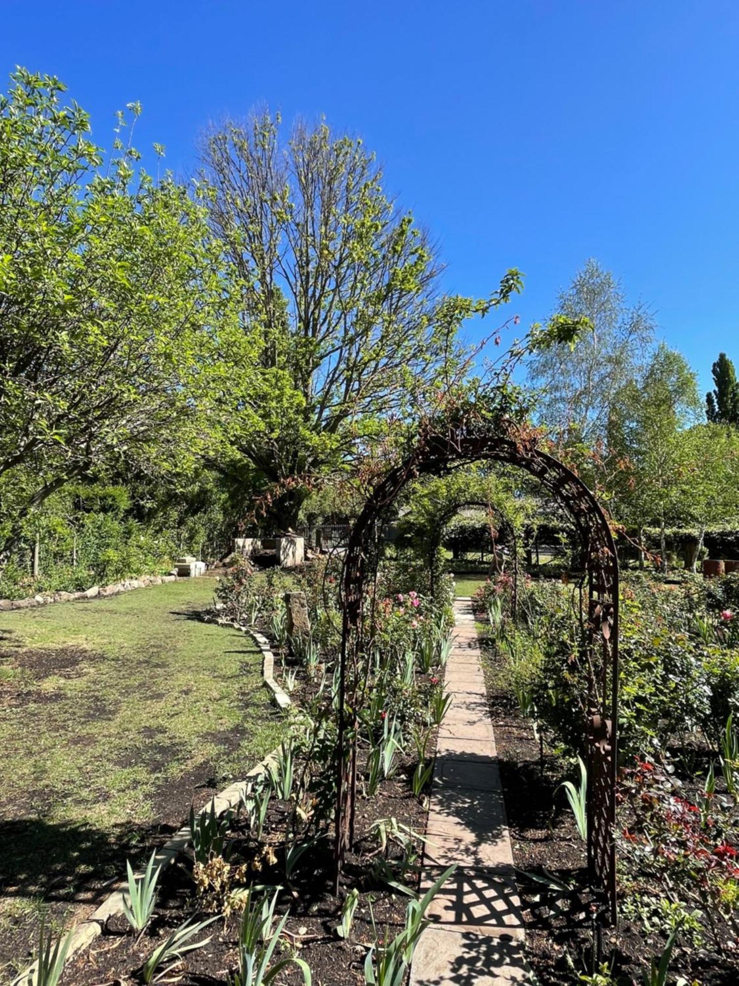 Periwinkle, Grove ,Acorn & Sage Cottages Clarens Extérieur photo