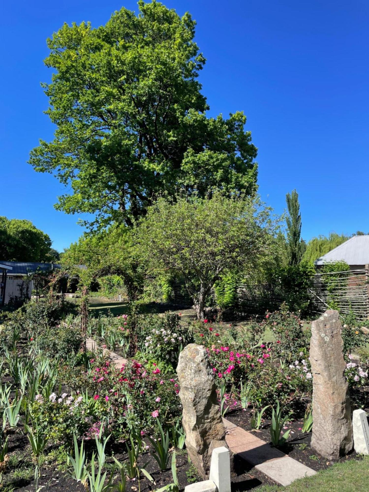 Periwinkle, Grove ,Acorn & Sage Cottages Clarens Extérieur photo