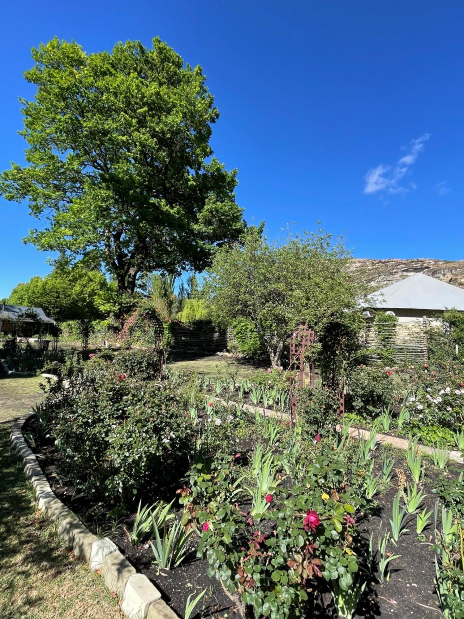 Periwinkle, Grove ,Acorn & Sage Cottages Clarens Extérieur photo