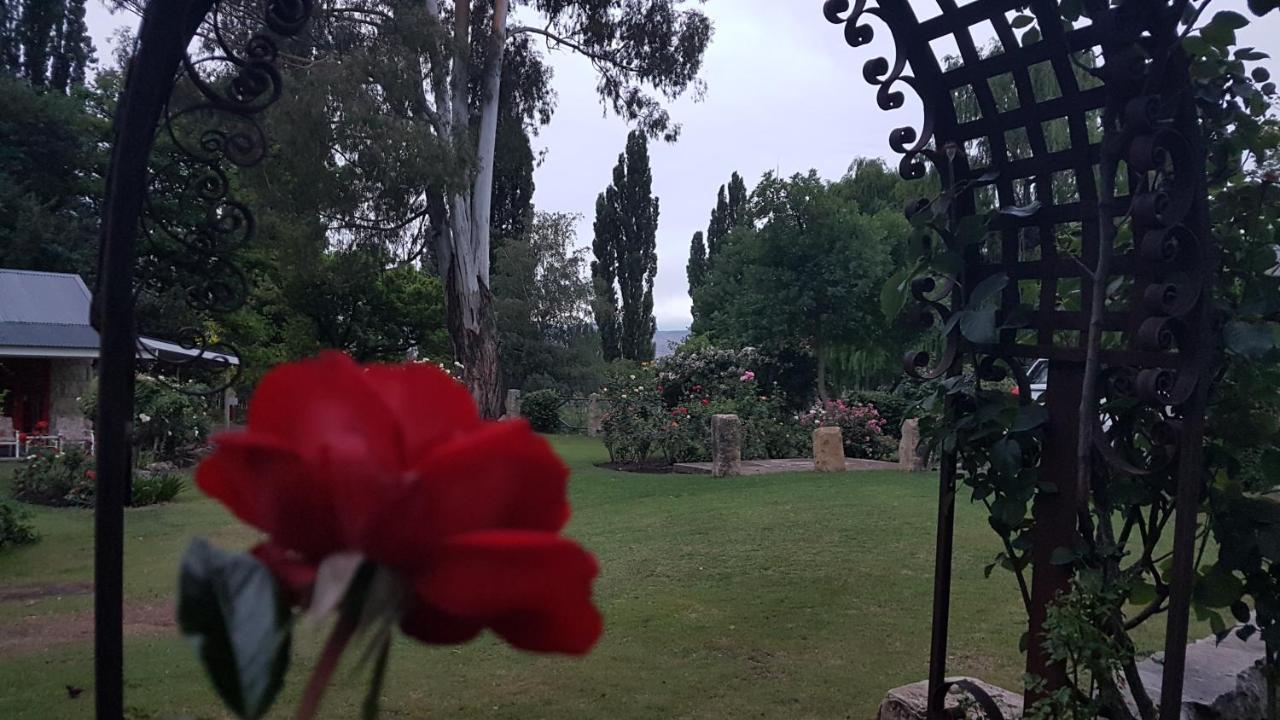 Periwinkle, Grove ,Acorn & Sage Cottages Clarens Extérieur photo