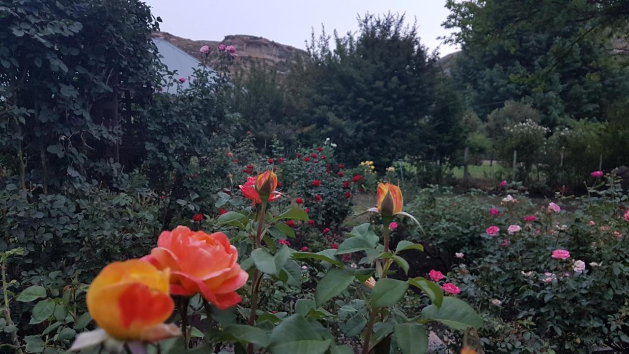 Periwinkle, Grove ,Acorn & Sage Cottages Clarens Extérieur photo